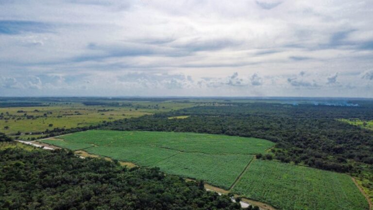 Jesus Center Belize 768x432